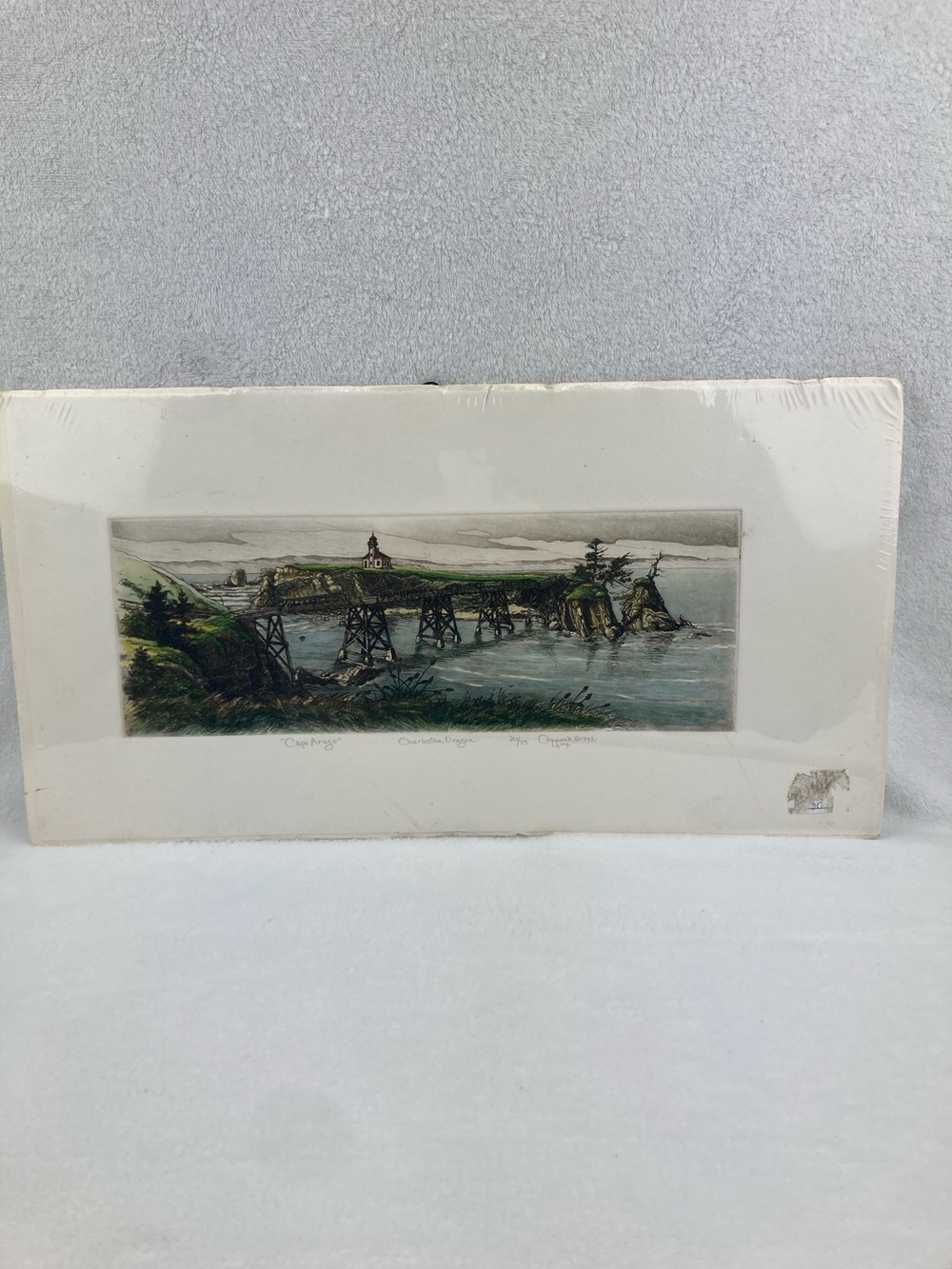 Original Intaglio Etching by Artist Barbara Coppock, Cape Arago 19 x 10